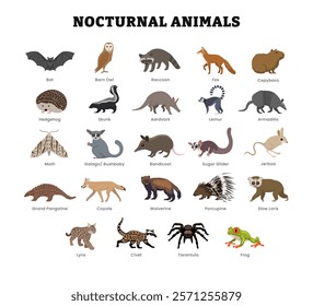 Set of different types of nocturnal animal collection for education poster with bat, racoon, fox, aardvark, hedgehog, moth, skunk, bushbaby, lemur, armadillo, coyote and other, vector illustration.