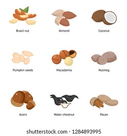 Set of different types of nuts. Sunflower seeds, hazelnuts, pistachios, macadamia, pecan, coconut and others.
