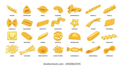 Set of different types of pasta collection, decorative elements for menu or package design, Penne, fusilli, farfalle, tagliatelle, fettuccine, spaghetti, cavatappi, conchiglie shells and wheat