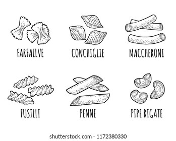 Set with different types of pasta. Farfalle, conchiglie, maccheroni, fusilli, penne, pipe rigate. Vector vintage engraving black illustration isolated on white background.
