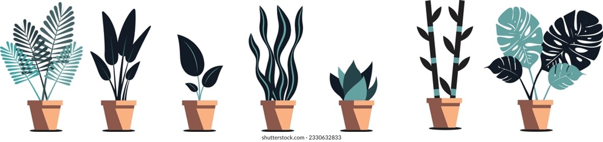 Conjunto de diferentes tipos de plantas en macetas de fondo blanco.