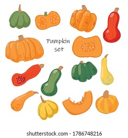 
Set of different types of pumpkins. For Thanksgiving Day. Autumn mood