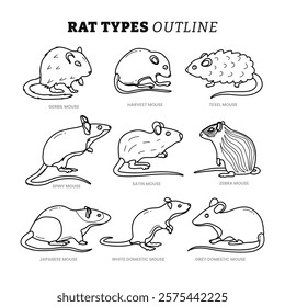 Set different types of rat outline collection with line art style, types of mouse, illustration for pet, animal, wildlife pet breed with gibril, spinny mouse, zebra mouse, white, gray and japanese.