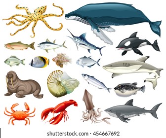 deep sea creatures names