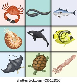 Set of different types of sea animals illustration tropical character wildlife marine aquatic fish