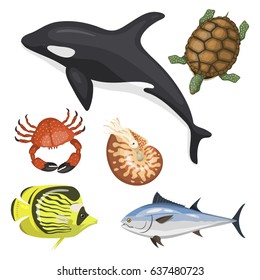 Set of different types of sea animals illustration tropical character wildlife marine aquatic fish