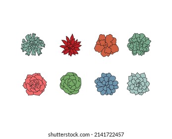 Conjunto de diferentes tipos de suculentos. La vista desde el icono top.secculent clipart