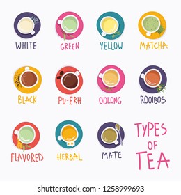 Set of different types of tea. Flat lay, top view. Collection of white tea, green, yellow, matcha, black, pu-erh, oolong, rooibos, flavored, herbal, mate. Vector illustrations. in flat style. 