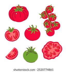 Set of different types of tomatoes and their parts isolate on white background. Vector graphics.