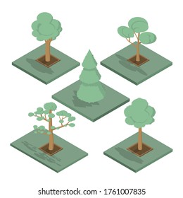 Set of different types of trees. Colored icons of plants. Trees for parks and gardens. Style is isometry. Vector icholated illustration.

