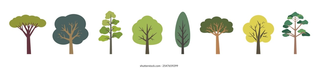 Set of different types of trees. Coniferous and deciduous species of forest plants.  
Hand drawn geometric flat vector elements. Botanical collection for graphic of forest and park.