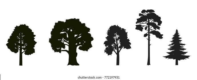 Set Of Different Types Of Trees. Maple, Oak, Birch, Pine, Tree Silhouette