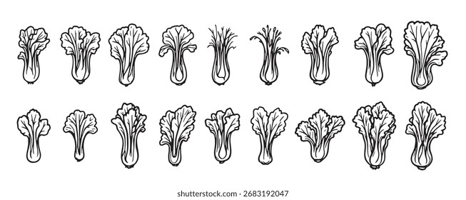 set of different types of vegetables including cabbage