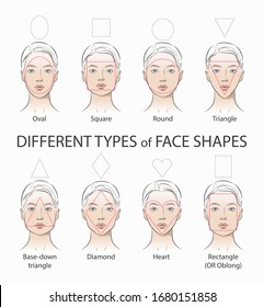 Set of different types woman face. Oval, square, round, triangle shapes. Various shapes. Beautiful women. For makeup, glasses and fashion style. Vector line sketch front portrait