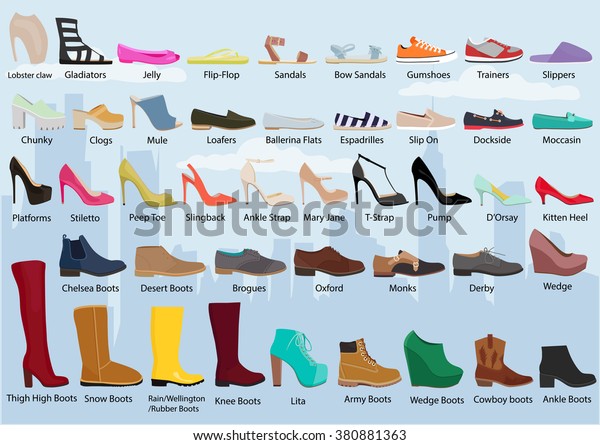 Set Different Types Womens Shoes Womans Stock Vector (Royalty Free ...