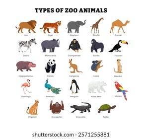 Set of different types of zoo animal collection for education poster, vector illustration with lion, turtle, macaw, tiger, elephant, rhino, giraffe, camel, zebra, chimpanzee, gorilla, toucan, panda.