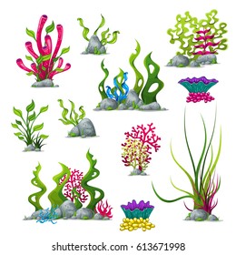 Set of different underwater plants