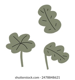 Set of different underwater plants. Plants of the aquarium. Vector illustration