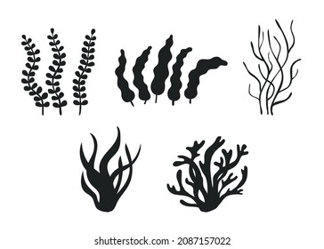 Set of different underwater sea plant, seaweed and algae black silhouette. Edible seaweed and leaves. Plants of aquarium. Vector contour illustration