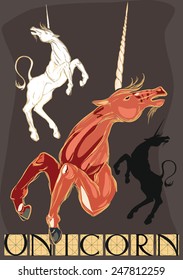 Set of different unicorns