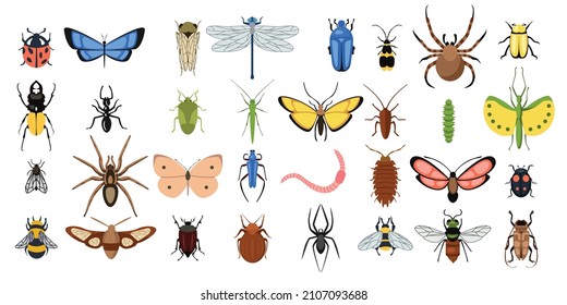 Set of different varicoloured insects on white background. Vector collection butterflies, spiders, worms, flies, bugs and other beetles in cartoon style.