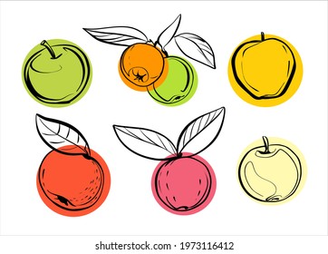 A set of different varieties of apples with and without leaves. Illustration, sketch in a linear style with colored circles.