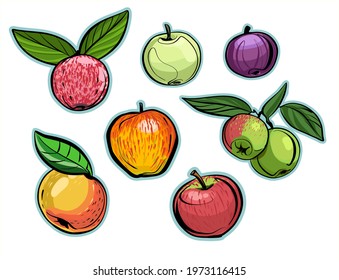A set of different varieties of apples with and without leaves. Illustration, realistic sketch in the form of stickers.
