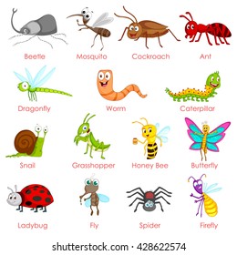 Set of different variety of insects in vector