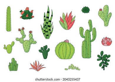 Set of different vector colorful succulent and cacti desert plants, hand drawn style vector illustration isolated on white background. Cactus icon for greeting card and invitations.