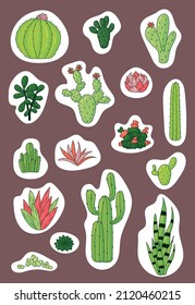 Set of different vector colorful succulent and cacti desert plants, hand drawn style vector illustration isolated on white background. Cactus icon for greeting card and invitations.