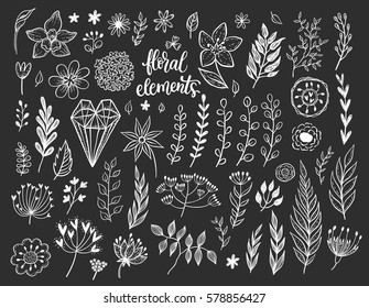Set of different vector floral design elements - flowers, leafs, brunches, herbs, hearts. 