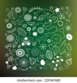 Set of different vector floral elements. Vector illustration. Plants,flowers and flourish elements.
