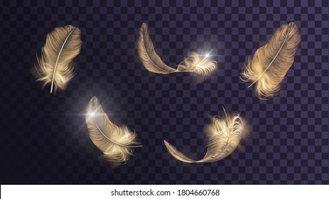 Set of different vector golden feathers on a transparent background