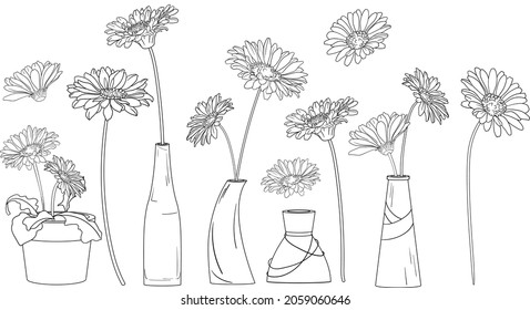 Set of different vector illustrations of gerberas and vases with flowers. Illustrations in sketch style perfect for decoration of wedding invitations, greeting postcard, design textures, fabric.