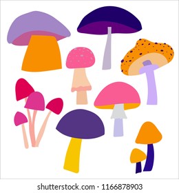 Set of different vector mushrooms