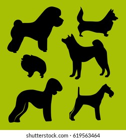 Set of different vector pets silhouettes for design use. The different monochrome dog breeds: pomeranian, fox terrier, corgi welsh pembroke, Terrier, Akita
