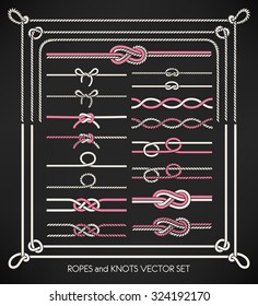 Set of different vector ropes and knots 