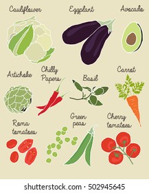 Set of different vector vegetables which includes cauliflower, eggplant, avocado, pea, carrot, chilly paper, tomatoes, artichoke and basil. 