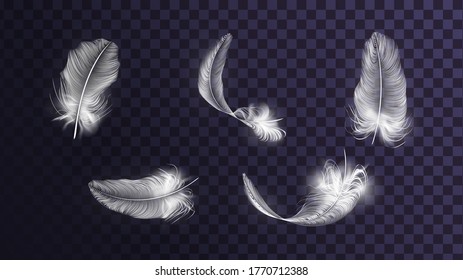 Set of different vector white feathers on a transparent background
