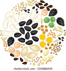 Set of different vegetable plant seeds isolated on white background