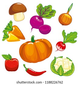 Set of different vegetables