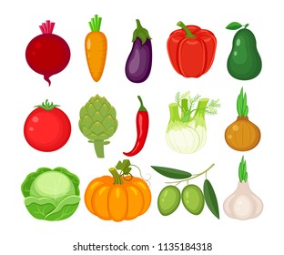 Set of different vegetables. Beetroot, carrot, eggplant, bell pepper, avocado, tomato, artichoke, chili, fennel, onion, cabbage, pumpkin, olives, garlic.   Vector illustration isolated on white