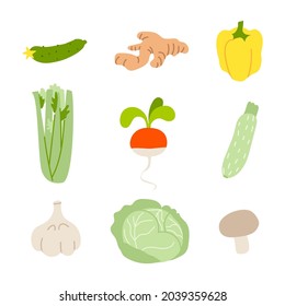 Conjunto de diferentes verduras. Colección de verduras de dibujos animados sobre fondo blanco. Ilustración vectorial de las plantas de crucifero y raíz aisladas.