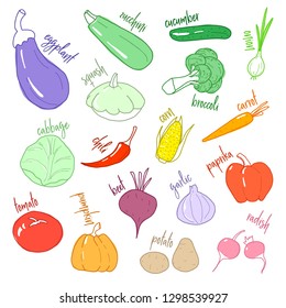 Set of different vegetables in doodle style. Vector