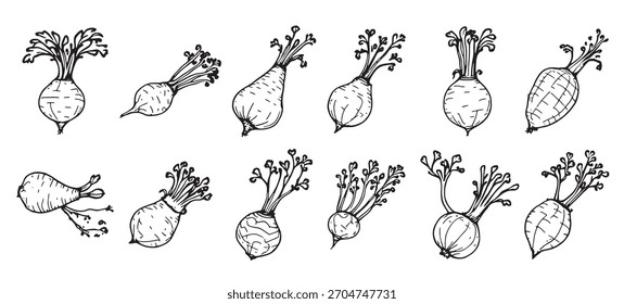 Set of different vegetables drawn in black and white 