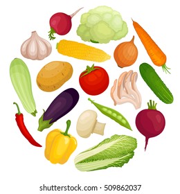 Set of different vegetables in the form of a circle. Vector illustration. Organic healthy food isolated on white background. Cooking concept.