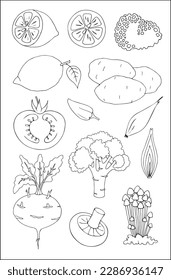 Set of different vegetables outlined in black and white, contours of different forms of vegetables, silhouettes of veggies.