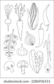 Set of different vegetables outlined in black and white, contours of different forms of vegetables, silhouettes of veggies.