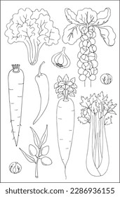 Set of different vegetables outlined in black and white, contours of different forms of vegetables, silhouettes of veggies.