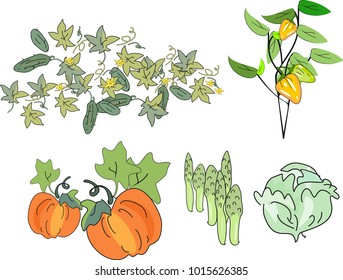 Set of different vegetables in sketch style